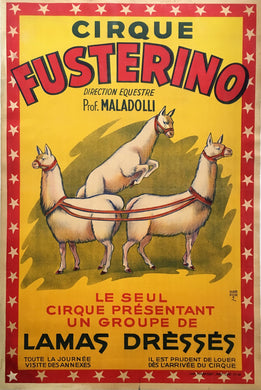 Original Fusterino Circus Poster - Harnessed Lamas
