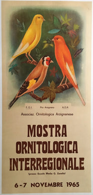 Original Italian Ornithology Poster for 1965.